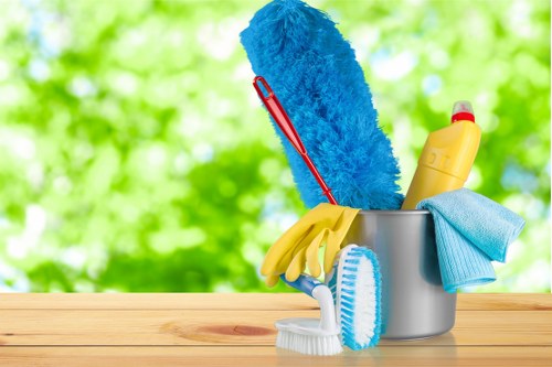 Technician reviewing a carpet cleaning booking and service details