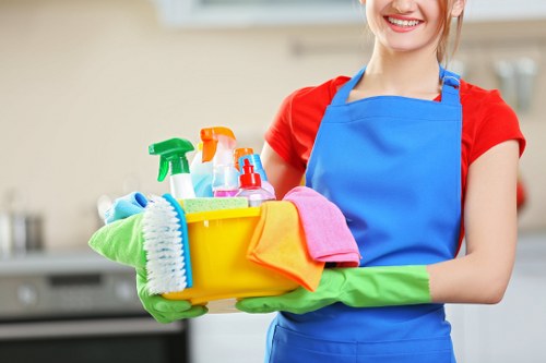 Professional house cleaning service for homes in Finsbury Park