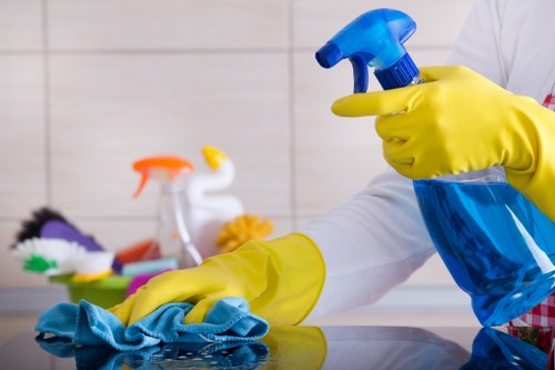 Professional pet stain and odour removal service for carpets in Finsburypark