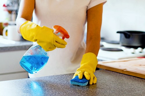 Professional regular cleaning in a local flat near Finsbury Park