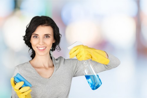 Cleaner maintaining a kitchen during a scheduled visit in Finsbury Park
