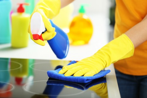 Professional after builders cleaning in a refurbished Finsbury Park property