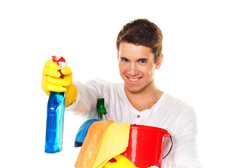 Local cleaning treatment for pet urine smell in a Finsbury Park home