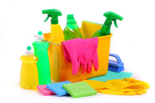 Deep cleaning service for carpets in a Finsbury Park flat